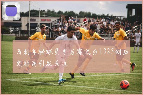 马刺年轻球员季后赛总分1325创历史新高引发关注